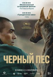 постер The Road Within /  (2014)