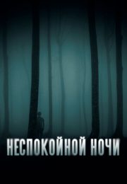 постер The Road Within /  (2014)