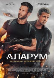 постер The Road Within /  (2014)