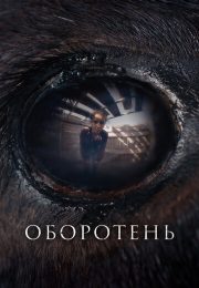 постер The Road Within /  (2014)