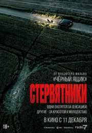 постер The Road Within /  (2014)