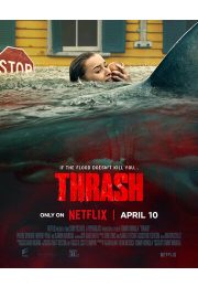 постер The Road Within /  (2014)