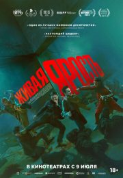 постер The Road Within /  (2014)