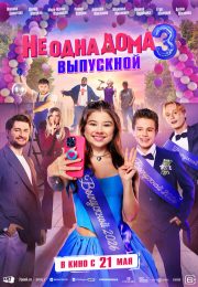 постер The Road Within /  (2014)