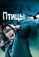 постер The Road Within /  (2014)