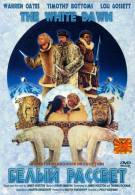 постер The Road Within /  (2014)