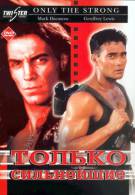 постер The Road Within /  (2014)
