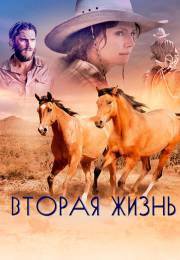 постер The Road Within /  (2014)