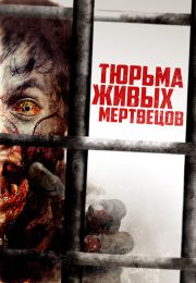 постер The Road Within /  (2014)