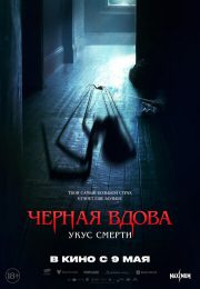 постер The Road Within /  (2014)