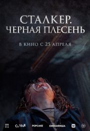 постер The Road Within /  (2014)